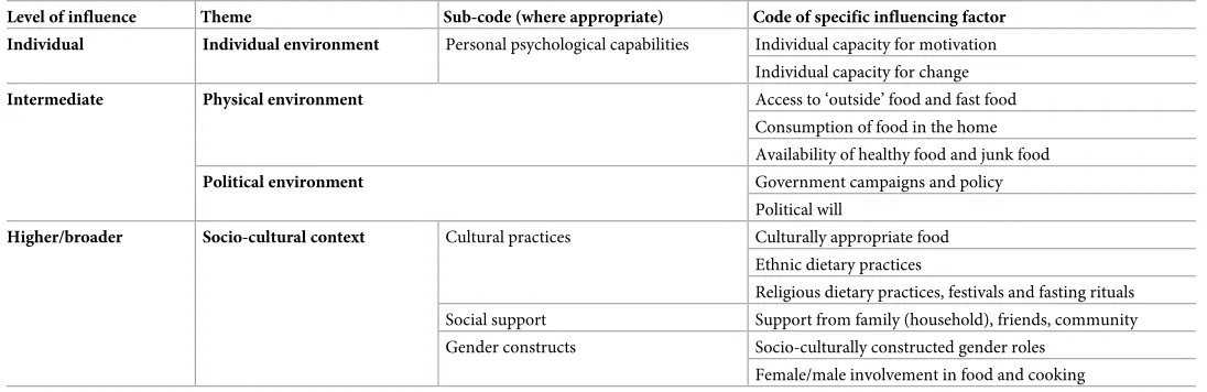 Table 3. Levels of themes emerging from the analysis.