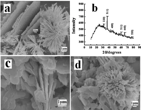 Fig. 1a showed the morphology of the prepared Co3nanosheets with many holes (inset of Fig