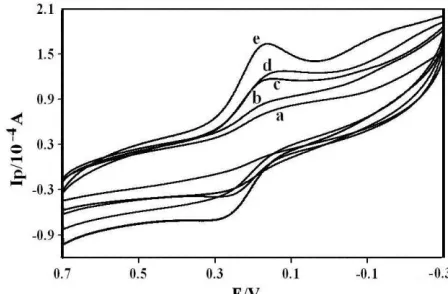 Figure 2. (A) UV-Vis absorption spectra of Mb in (a) CTS, (b) CTS-IL-GR, (c) CTS-IL-Co3O4, (d) CTS-GR-Co3O4 and (e) CTS-IL-GR-Co3O4 mixture; (B) FT-IR spectra of (a) Mb and (b) Mb-IL-GR-Co3O4 mixture