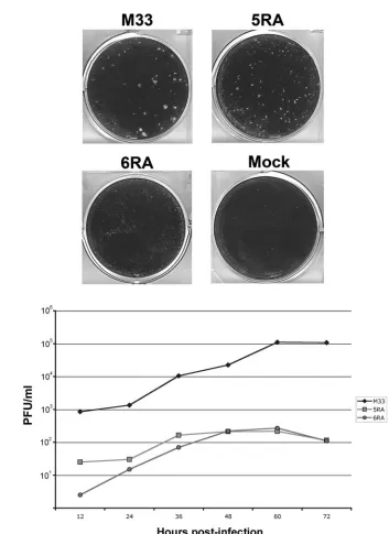 TABLE 2. Expression of E1 in electroporated cells