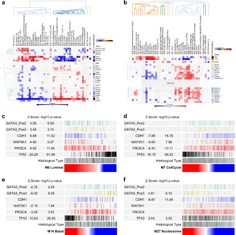 Fig. 6Network modules show distinctive patterns of mutational association. Correlations of MEV with mutation status of commonly mutatedcell cycle,samples