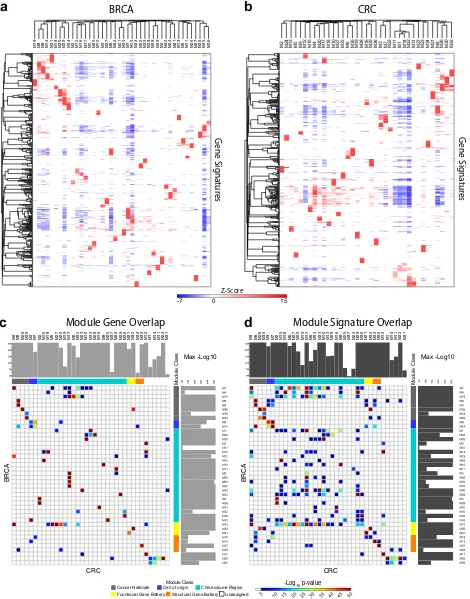 Fig. 3Module biology and between cancer analysis identibetween modulesﬁes principles of gene co-expression