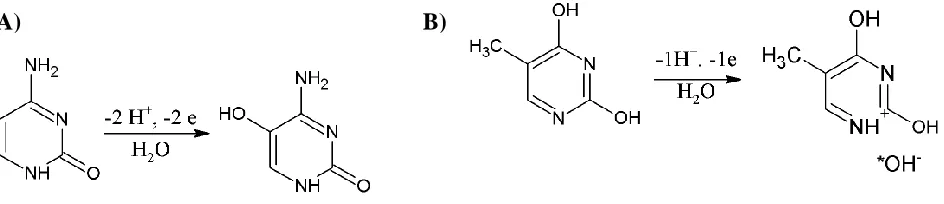 Figure 4. A) Cytosine and B) thymine electrooxidation reactions, after [23] and [47], respectively