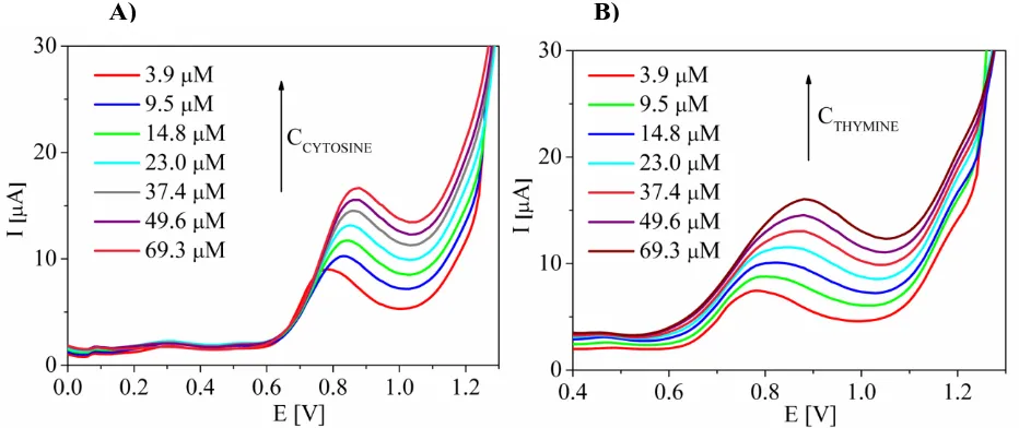 Figure 5. Exemplary voltammograms before baseline correction obtained for cytosine A) and for thymine B) with the use of gold electrodes with DPV method (set of parameters no