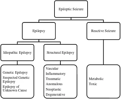Figure 1: Current aetiological classification of epileptic seizures and epilepsy as proposed by the International Veterinary Epilepsy Task Force (BERENDT 