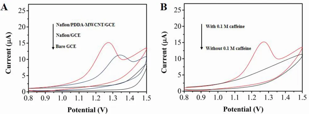 Figure 3.  (A) Cyclic voltammograms collected at the bare GCE, Nafion/GCE and Nafion/PDDA-MWCNT/GCE in H2SO4 (0.1 M) containing caffeine (0.01 M), scan rate 100 mV/s