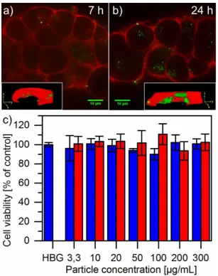Figure 3-7. Fluorescence microscope images of N2A cells after 7 h (a) and 24 h (b) incubation with MIL-100(Fe)@Stp10-C nanoparticles under standard cell culture conditions in serum-containing medium (insets: 3D images of single cells calculated from stacke
