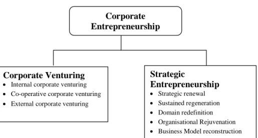 Figure 2.1 Corporate Entrepreneurship Framework 