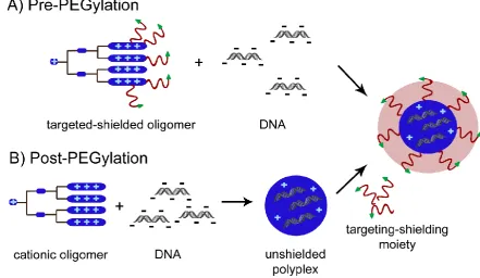 Figure 1.2. Illustration of A) pre-PEGylation and B) post-PEGylation approach applied for polyplex surface shielding