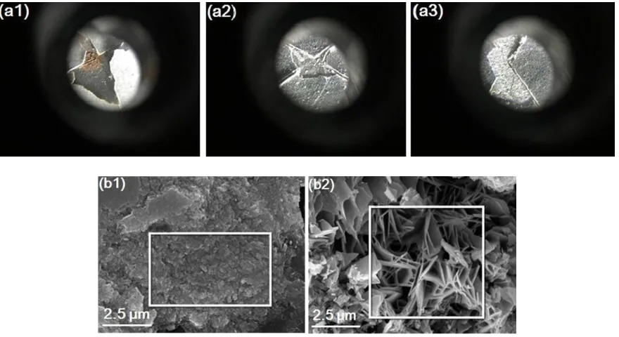 Figure 11. (a) Optical photos of blisters on the coating surface of sample 7: (a1) and (a2) in NSST; (a3) in SCST; (b) SEM micro morphologies of the rust in the coating/steel interface of sample 7
