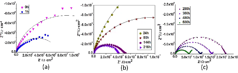 Figure 5.  Typical Nyquist diagrams of sample 7 at different immersion times. (a)-(c) represent the three different stages of the impedance spectrum:(a) 0-1 h, (b) 24-216 h, (c) 288-600 h