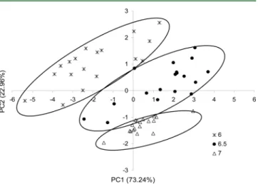 Figure 5. Principal component projection of the score plot of regular coﬀee (25 mL) obtained from three grinding grades (6, 6.5, and 7).