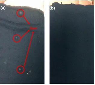 Figure 4. Photographs of (a) LTO and (b) GO/LTO electrodes 