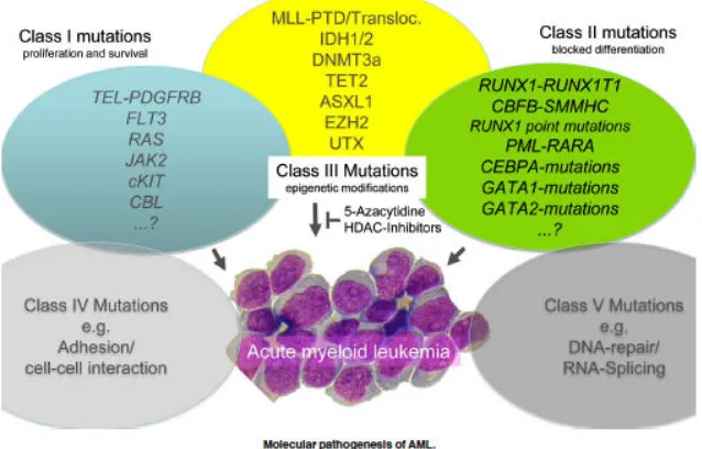 Figure 1: Mutations contributing to the pathogenesis of AML (Reproduced from Thiede C, 2012) 
