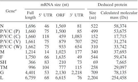 TABLE 1. Predicted products of transcription and translation foreach J-V gene
