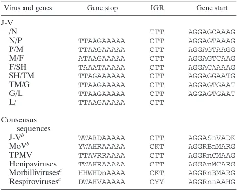 TABLE 2. Gene start and stop signals and IGRs of J-Va