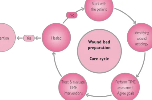 Figure 1. The wound bed preparation care cycle.