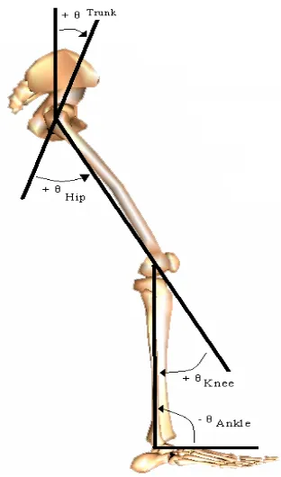 Figure 1. Joint angle conventions 