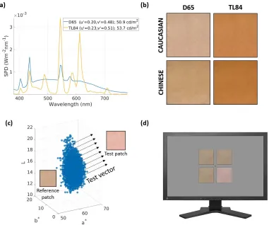 Figure 1. Experimental methods. (a) Spectral power distributions of the overhead illuminants: Simulated daylight (6100 K, blue line)and cool-white fluorescent lighting (3900 K, yellow line)