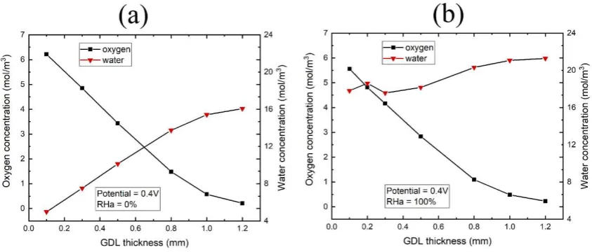 Fig. 12. Effect of the GDL thickness on the oxygen and water vapour as the cathode catalyst layer at 