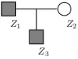 Table 3.1: Possible risk vectors for a family of 3 (Figure 3.2). Each rowrepresents one possible constellation of the vector Z