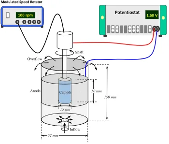 Figure 1. Schematic diagram of flow cell for indium recovery. The electrolyte enters from the bottom of the cell and overflow out of the cell