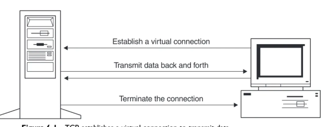 Figure 6-1 TCP establishes a virtual connection to transmit data.