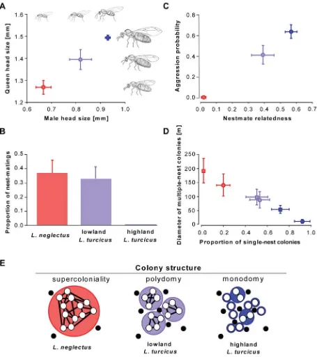 Figure 3. Mating, dispersal, aggression and social organization. (A) Head size of males (n = 42) and queens (n = 93) of L