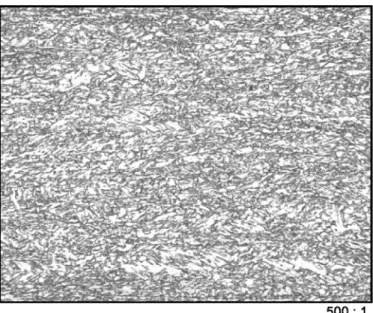 Fig. 4:  Typical microstructure 