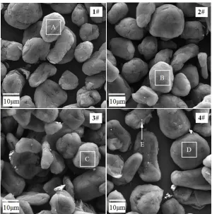 Figure 3. SEM images of the control sample (1#) and as-prepared SNG samples (2#, 3# and 4#) by liquid-phase Ag-C double coating