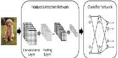 Figure 1.  classifying images [24]Example of a convolutional neural network for  