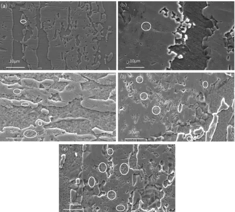 Figure 3. Microstructure of the specimens after different pre-tensile deformations (a) 5%, (b) 10%, (c) 15%, (d) 20%, (e)30% 
