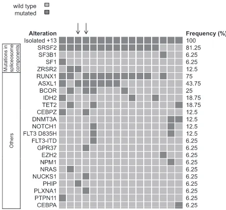 Figure 2. Frequency distribution of recurrently mutated genes in AML113.Distribution of mutated genes in 16 patients with AML113