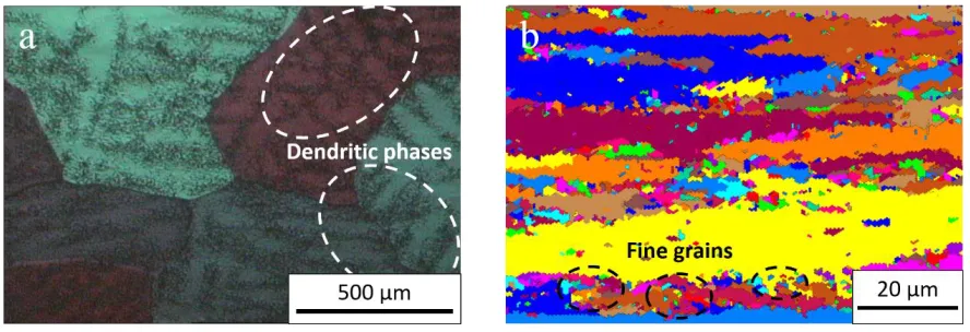Figure 1. The micrographs of the as-cast (a) and as-rolled (b) Al-0.5Mg-0.1Sn-0.05Ga-0.05In alloys
