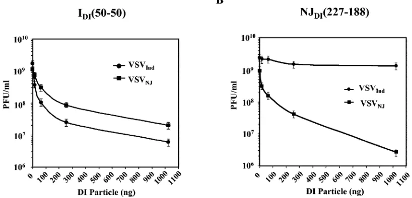 FIG. 6. Analysis of VSV RNA synthesized in cells coinfected with chimeric DI particles and the standard viruses