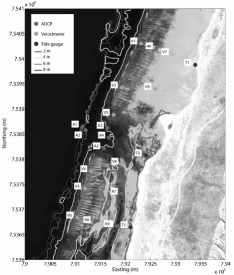 Fig. 4. Oceanic and meteorological forcing conditions, observed during the field experiment