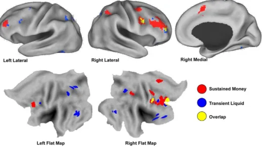 Figure 4 shows this pattern for a representative pair of regions – right dorsolateral PFC and left ventral striatum.