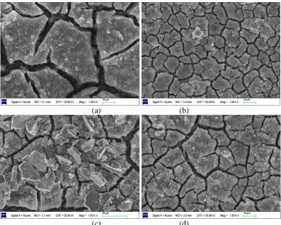 Figure 5. Surface SEM morphologies of the original coating and the modified coatings: (a) the original coating, (b) the Ce coating, (c) the Zn coating and (d) the Zr coating