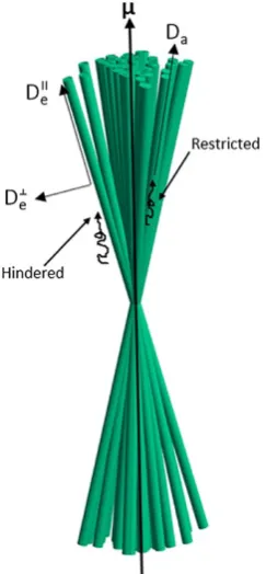 FIGURE 1 Diagram of the two compartments present in the NODDIDA tissue model with their corresponding diffusivities