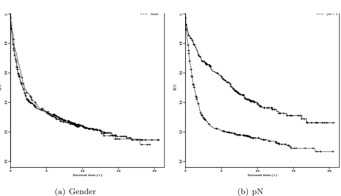 Figure 3: Kaplan-Meier estimate for the survival functions (gender and pN).