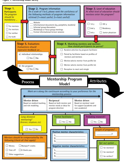 Figure 1. Mentorship model survey