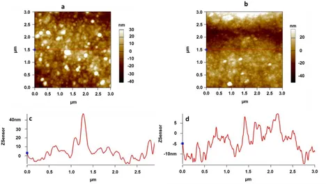 Figure 2  . Surface morphology of developed coatings (a) Ni-B and (b) Ni-B-SiO2.  