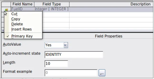 Figure 4: Defining the primary key field