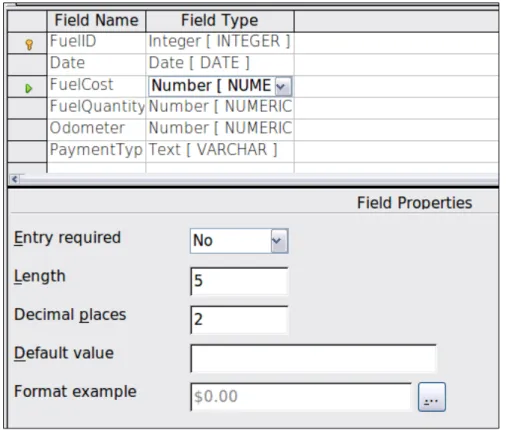 Figure 6: Field Format options
