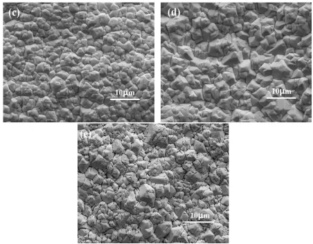 Figure 6. SEM of PbO2 coatings deposited at various temperature: (a) 35 oC; (b) 45 oC; (c) 55 oC; (d) 65 oC; (e) 75 oC