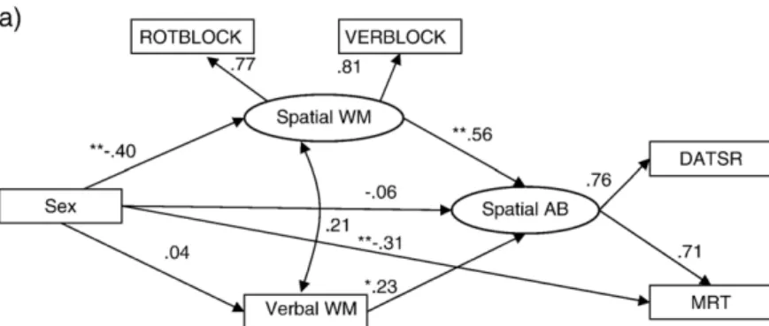 Fig. 4. The independent effect of verbal WM and spatial WM on spatial ability. Sex is dummy-coded: male = 1, female = 2, ⁎p b.05, ⁎⁎pb.01 (two- (two-tailed)