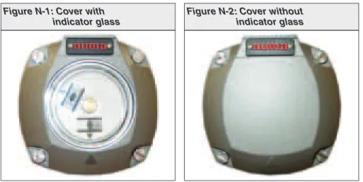 Figure N-1: Cover with indicator glass