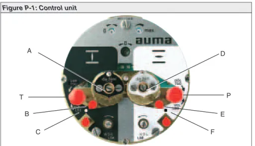 Figure P-1: Control unit
