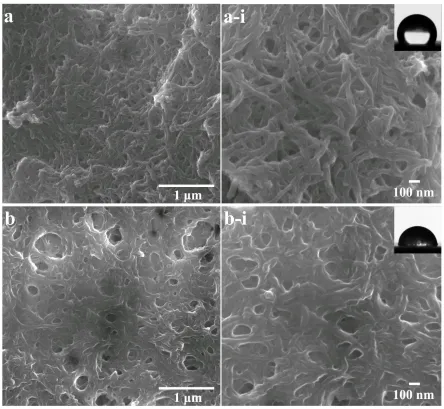 Figure 2. The SEM photographs of polyaniline (a, a-i) and phosphate doped polyaniline (b, b-i) with magnification of 25000 and 50000  