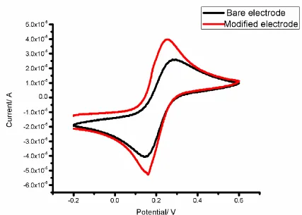 Figure 2.  Cyclic voltammograms measured with bare and SnO2@MWCNTs nanocomposite modified GCE in the solution of 5 mM Fe3(CN)6containing 0.1 mol L-1 KCl